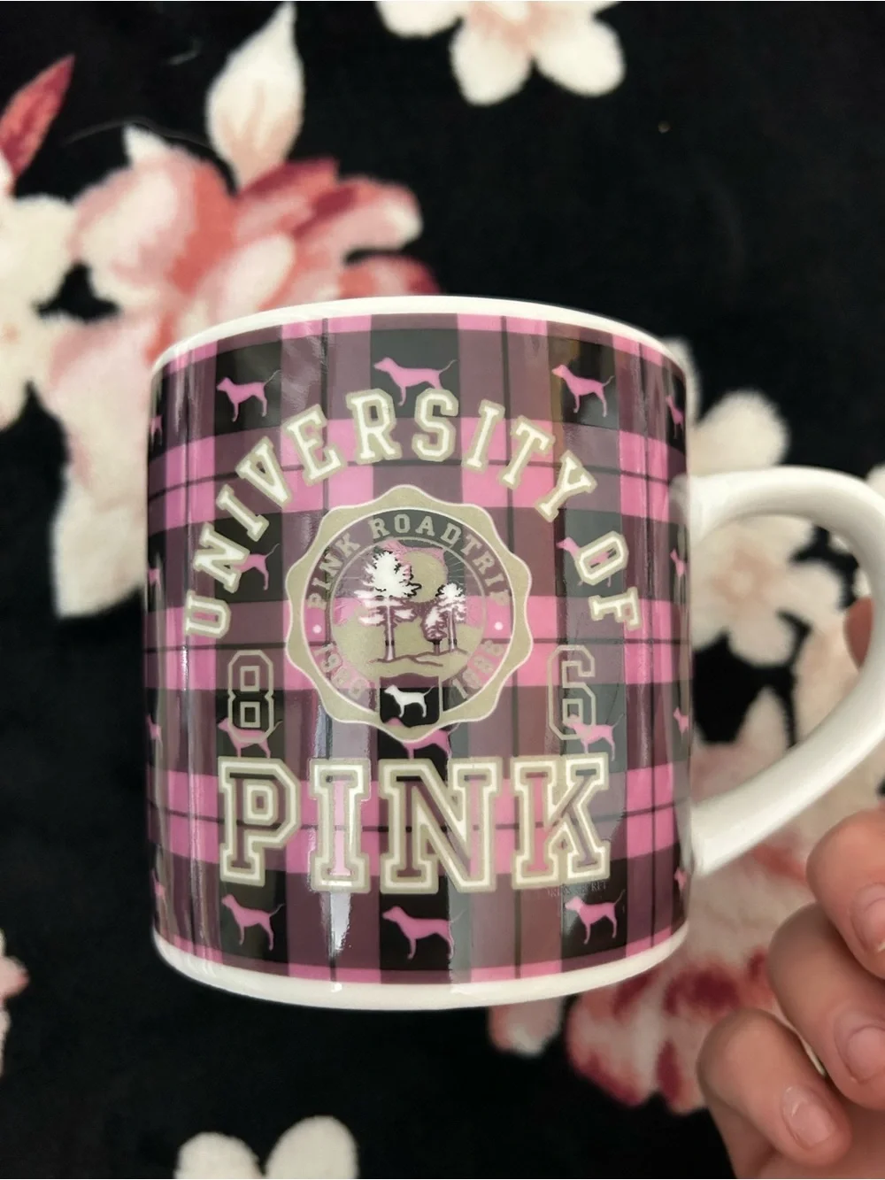 PINK Displays and Collectables - Picture 7 of 11